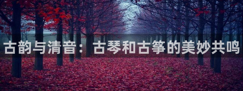 凯发k8国际 不能提款了:古韵与清音:古琴和古筝的美妙共鸣